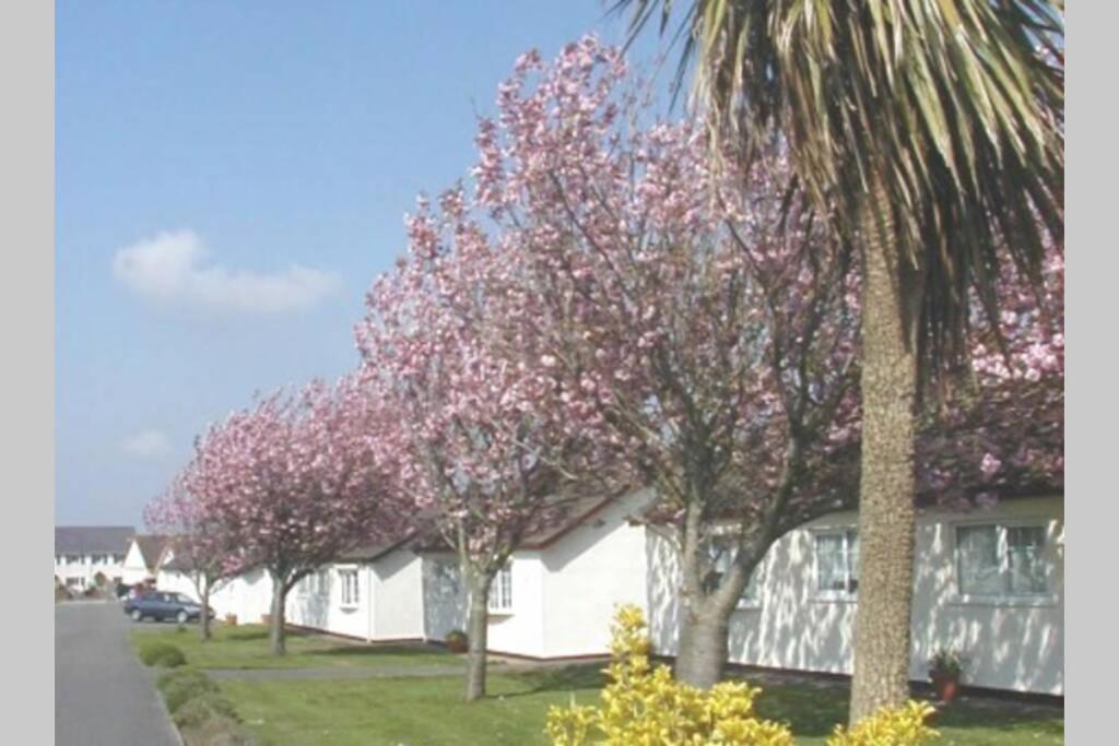 Perfect For The Family And Beaches - Gower Cwtch Villa Суонзи Екстериор снимка
